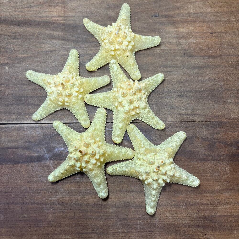 Nautical Knobby Horned Starfish Candles Set Of 5 NWOT